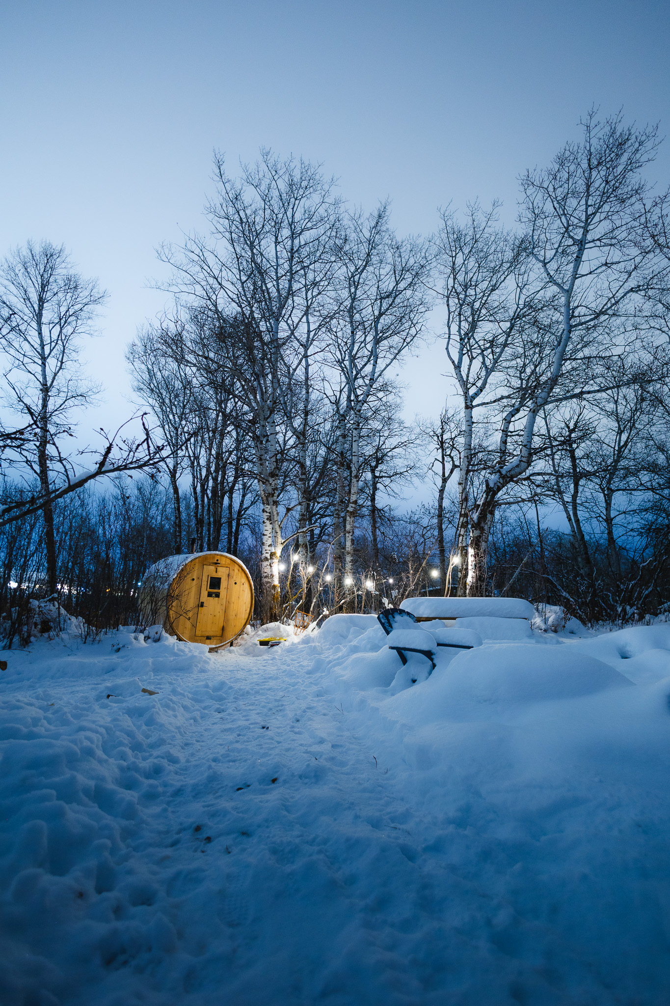 Lit barrel sauna among snowy birch trees at blue hour
